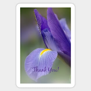 Iris Thank You Card Sticker